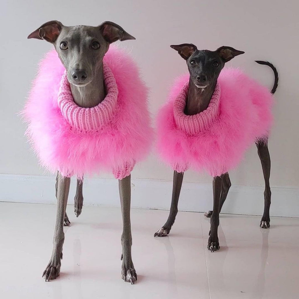 Dog Sweater with Fluffy Faux Feather Body and Ribbed Knit Turtleneck - Image 1