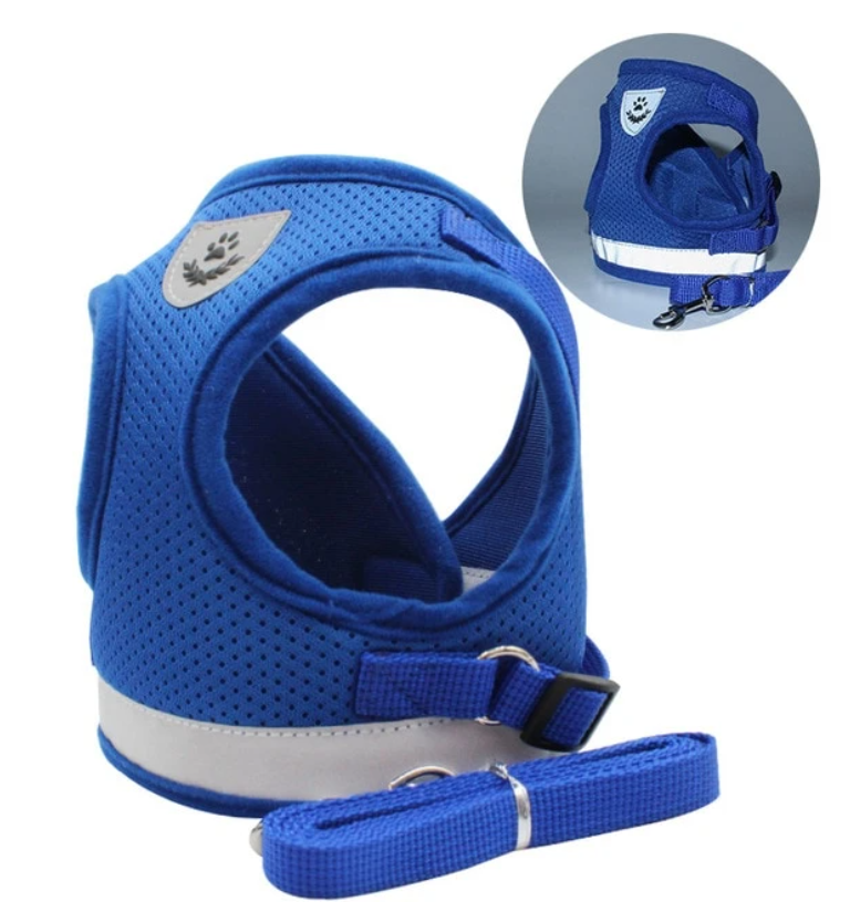 Ensemble harnais et laisse pour chat pour les aventures en plein air - Harnais réglable et confortable pour des promenades et un dressage en toute sécurité