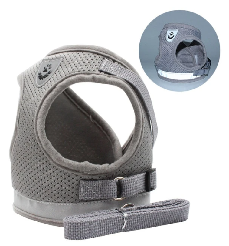 Ensemble harnais et laisse pour chat pour les aventures en plein air - Harnais réglable et confortable pour des promenades et un dressage en toute sécurité
