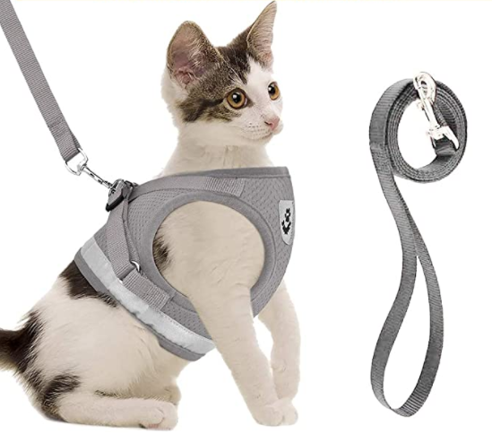 Ensemble harnais et laisse pour chat pour les aventures en plein air - Harnais réglable et confortable pour des promenades et un dressage en toute sécurité