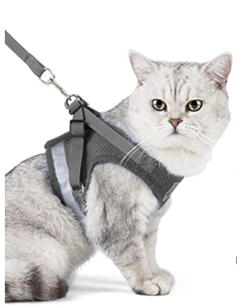 Ensemble harnais et laisse pour chat pour les aventures en plein air - Harnais réglable et confortable pour des promenades et un dressage en toute sécurité