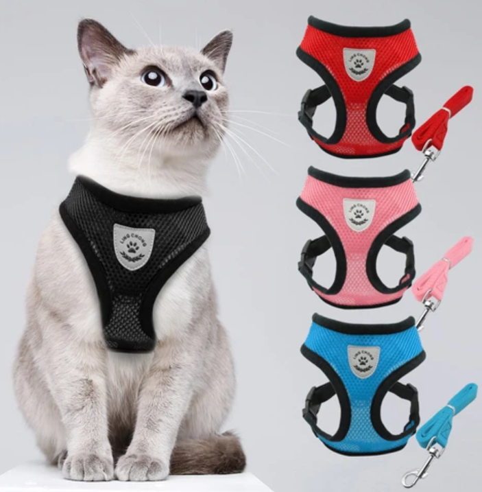 Ensemble harnais et laisse pour chat pour les aventures en plein air - Harnais réglable et confortable pour des promenades et un dressage en toute sécurité