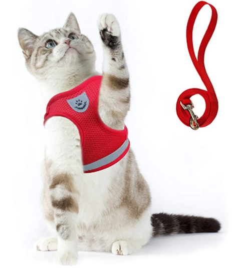 Ensemble harnais et laisse pour chat pour les aventures en plein air - Harnais réglable et confortable pour des promenades et un dressage en toute sécurité