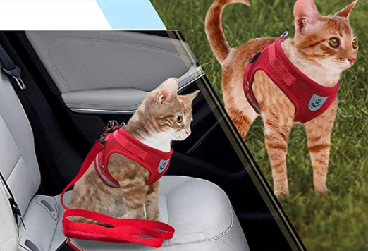 Ensemble harnais et laisse pour chat pour les aventures en plein air - Harnais réglable et confortable pour des promenades et un dressage en toute sécurité