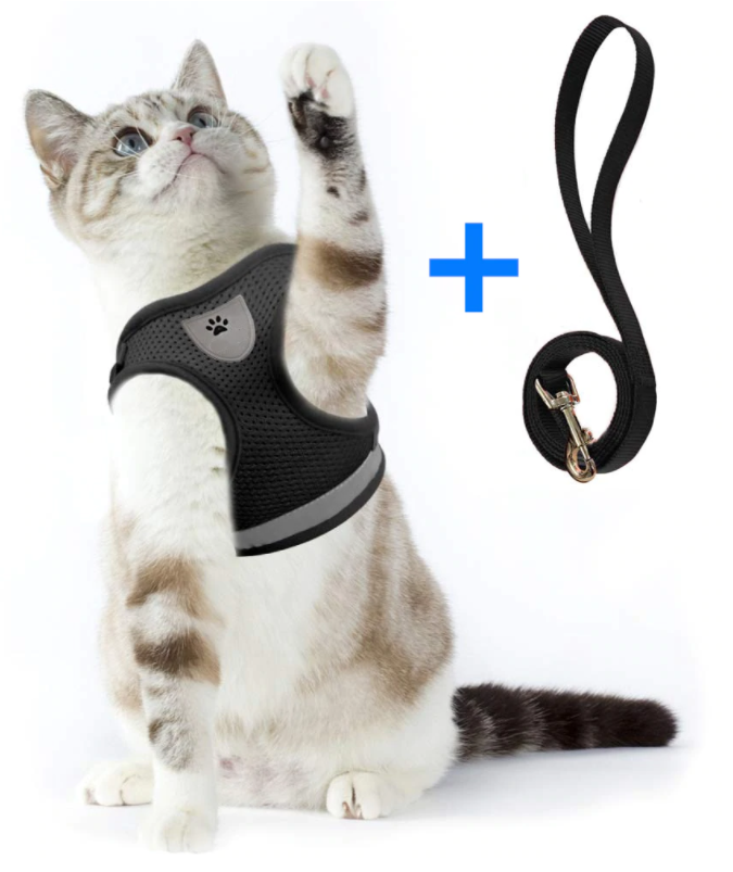 Ensemble harnais et laisse pour chat pour les aventures en plein air - Harnais réglable et confortable pour des promenades et un dressage en toute sécurité