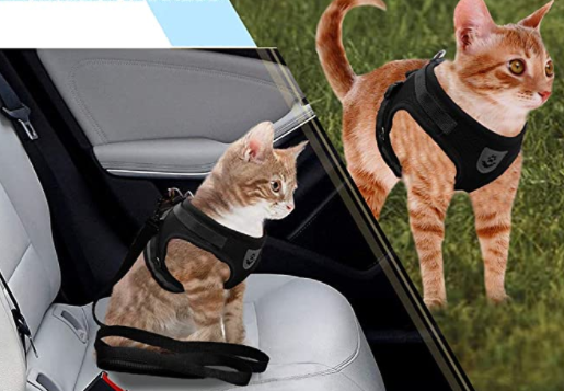 Ensemble harnais et laisse pour chat pour les aventures en plein air - Harnais réglable et confortable pour des promenades et un dressage en toute sécurité